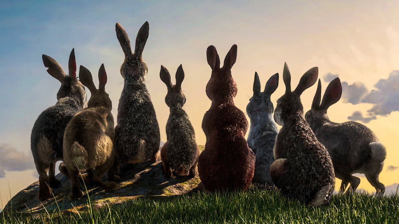 Watership Down backdrop