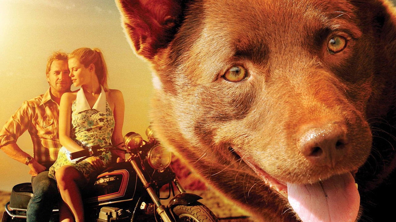 Red Dog backdrop