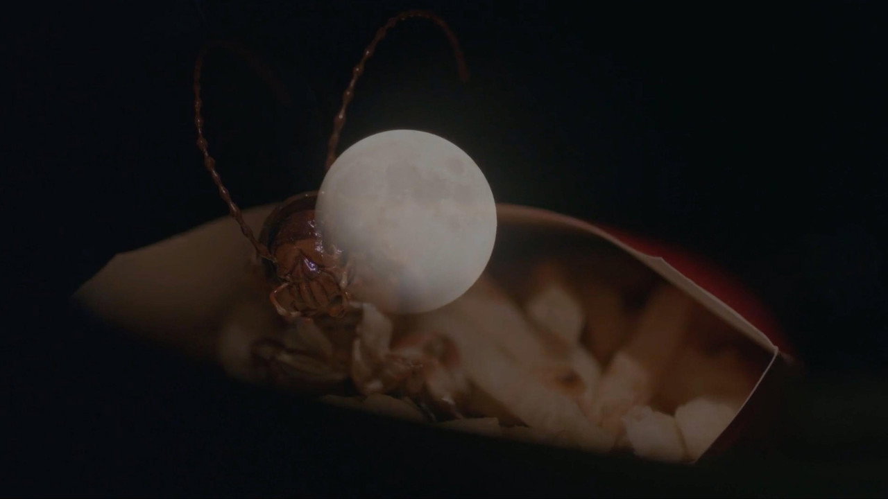Roach Trip backdrop