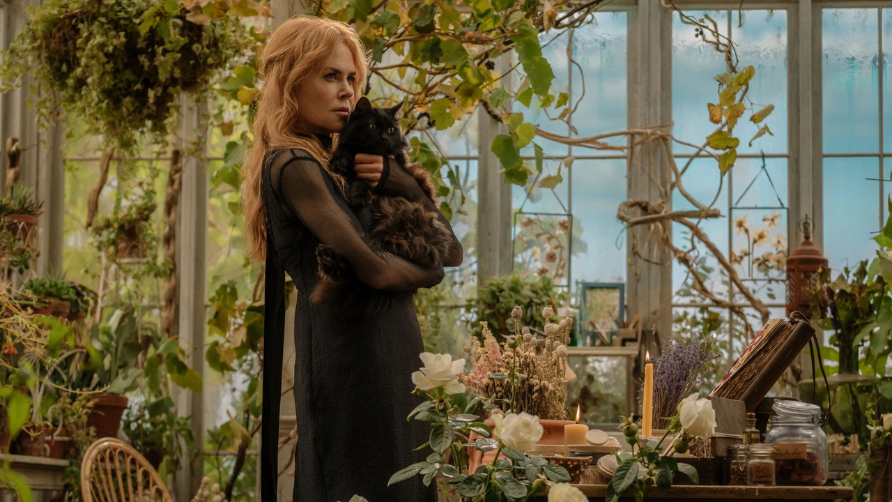 Practical Magic 2 backdrop