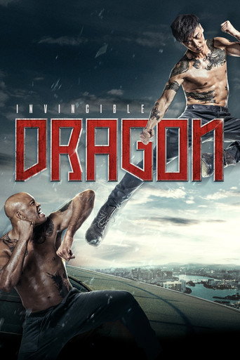 The Invincible Dragon (2019) poster