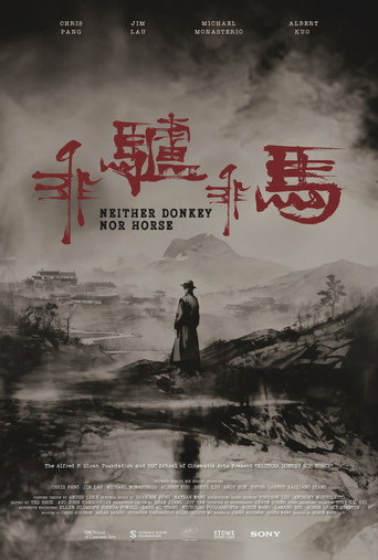 Neither Donkey Nor Horse (2024) poster