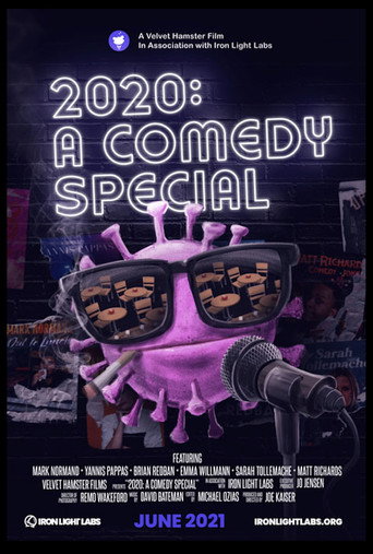 2020: A Comedy Special (2021) poster