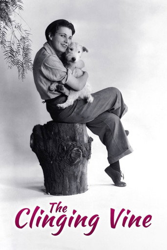 The Clinging Vine (1926) poster