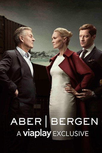 Aber Bergen (2016) poster