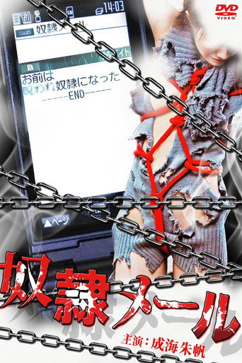 Slave Mail (2010) poster