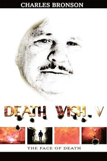 Death Wish V: The Face of Death (1994) poster