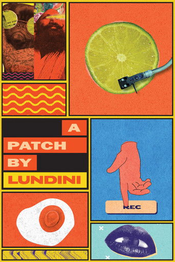 A Patch by Lundini (2020) poster