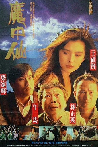 Red and Black (1991) poster