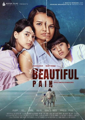 Beautiful Pain poster