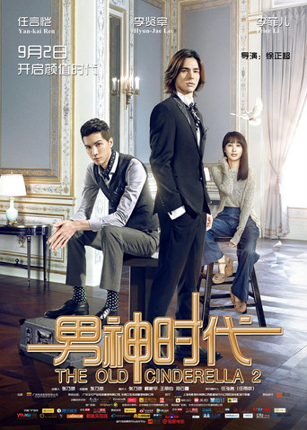 The Old Cinderella 2 (2015) poster