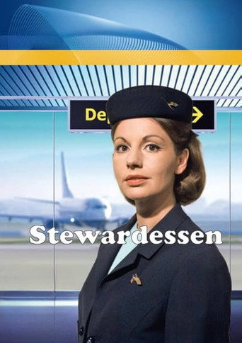 Stewardesses (1969) poster