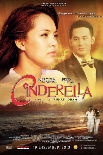 Cinderella (2013) poster