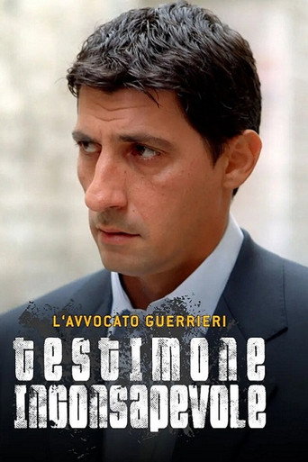 L'avvocato Guerrieri (2007) poster