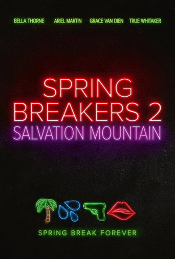 Spring Breakers 2 poster