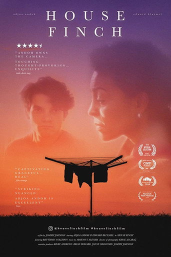House Finch (2021) poster