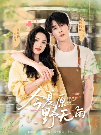 今夏原野无雨 (2025) poster