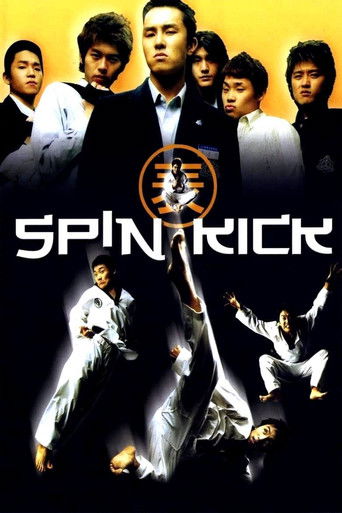 Spin Kick (2004) poster