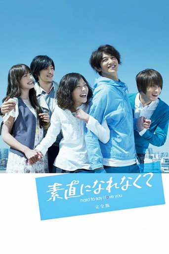 Hard to Say I Love You (2010) poster
