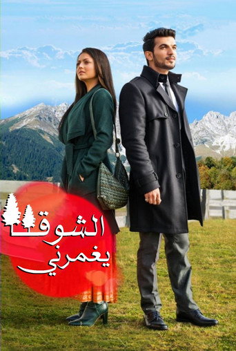 Pardes Mein Hai Mera Dil (2016) poster