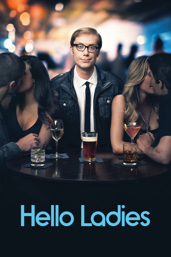 Hello Ladies (2013) poster
