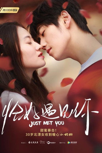 Just Met You (2019) poster