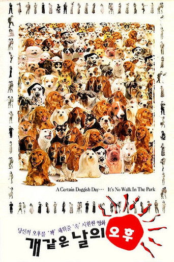 A Hot Roof (1995) poster
