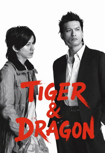 Tiger and Dragon (2005) poster