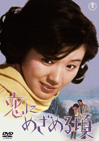 When Love Awakens (1969) poster