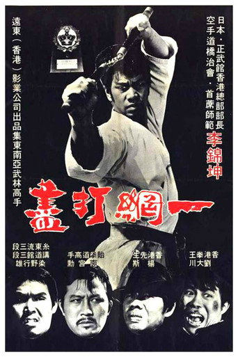 The Thunder Kick (1974) poster