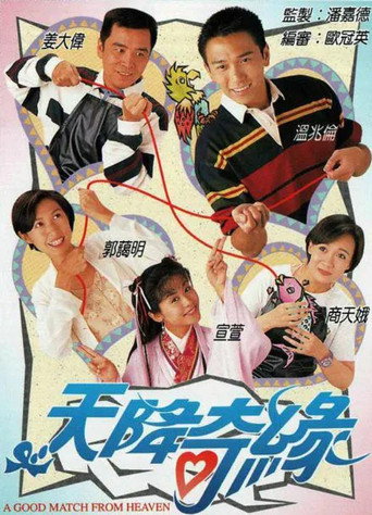 A Good Match From Heaven (1995) poster