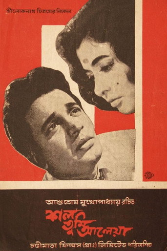 The Survivor (1966) poster