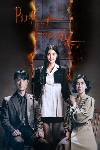 Perfect Family (2024) poster