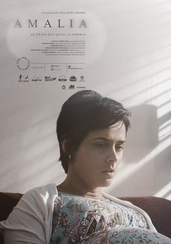 Amalia (2018) poster