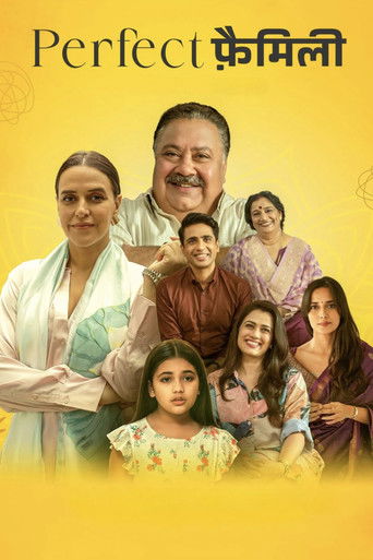 Perfect Family (2025) poster