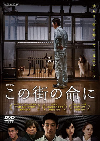 Through Their Eyes (2016) poster