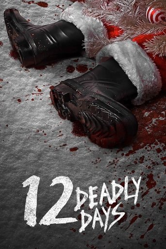 12 Deadly Days (2016) poster
