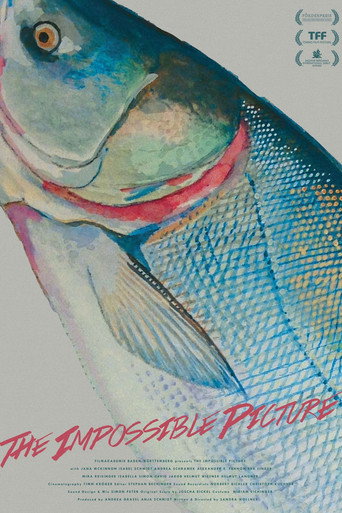 The Impossible Picture (2016) poster