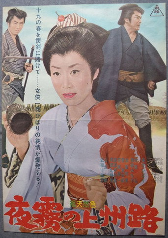 Road In the Mist (1963) poster