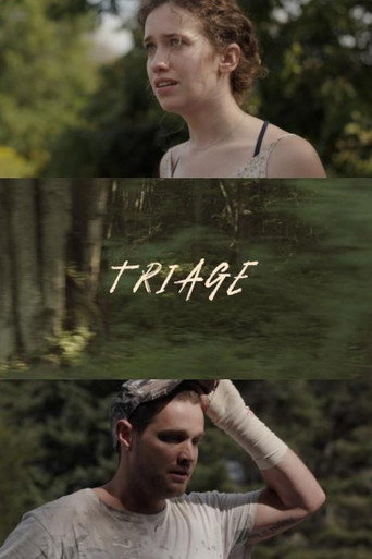 Triage (2024) poster