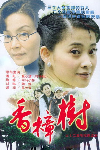 香樟树 (2004) poster
