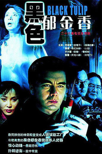 黑色郁金香 (2004) poster