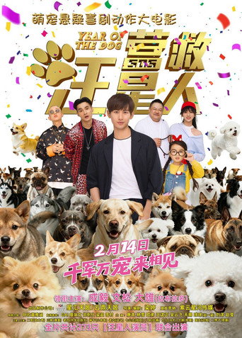 The Big Rescue (2018) poster
