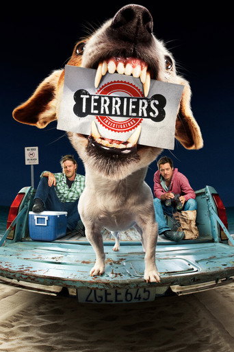 Terriers (2010) poster