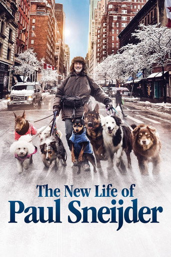 The New Life of Paul Sneijder (2016) poster