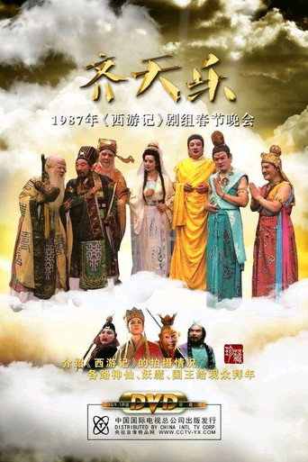 齐天乐春节晚会 (1987) poster