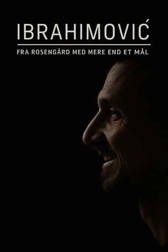 Ibrahimović – From Rosengård with More Than One Goal (2014) poster