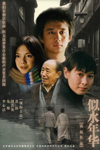似水年华 (2003) poster