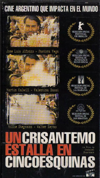 A Crysanthemum Bursts in Cincoesquinas (1998) poster