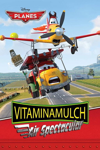 Vitaminamulch: Air Spectacular (2014) poster